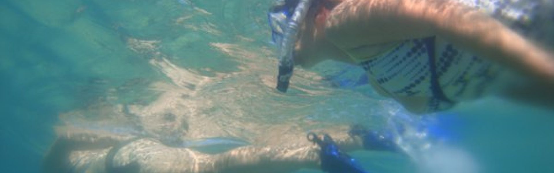 3487339-snorkel-mania-0